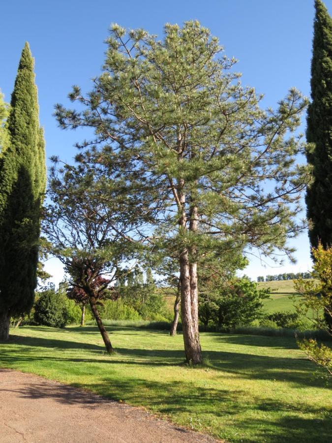 Nature'S Pace Holidays Montmaur  Exterior photo