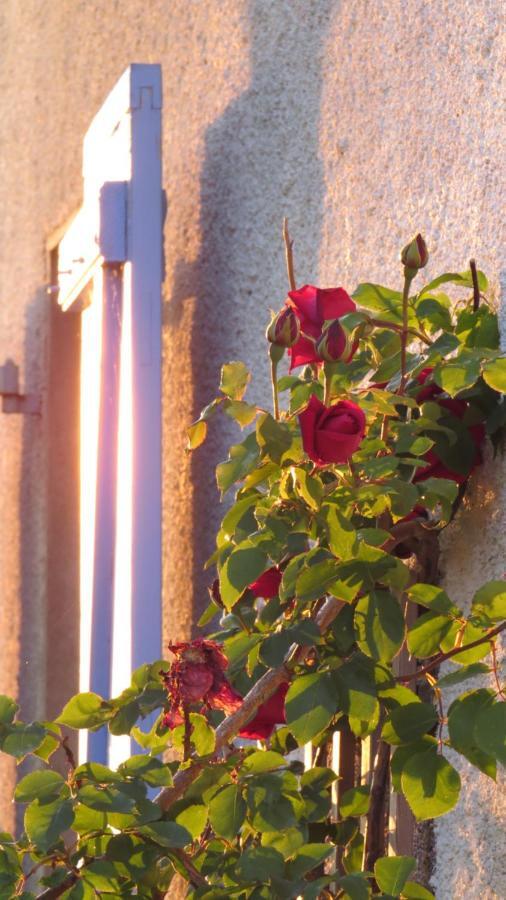 Nature'S Pace Holidays Montmaur  Exterior photo