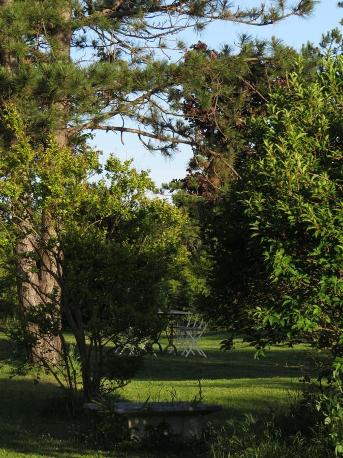 Nature'S Pace Holidays Montmaur  Exterior photo
